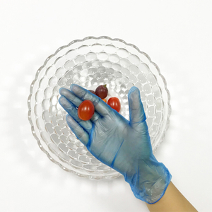 Medium Powder Free Disposable Vinyl Food Service Gloves