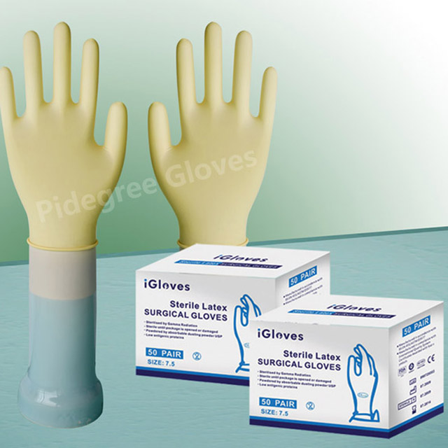 Latex Surgical Gloves (Size 8, Powder Free)